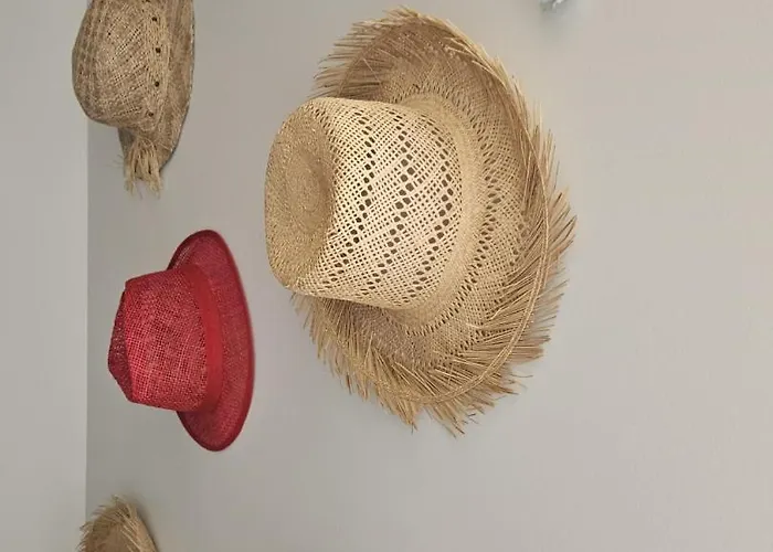 Holiday home La Surprise Des Jumelles Castres (Tarn)