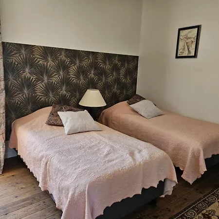 La Surprise Des Jumelles Castres (Tarn)