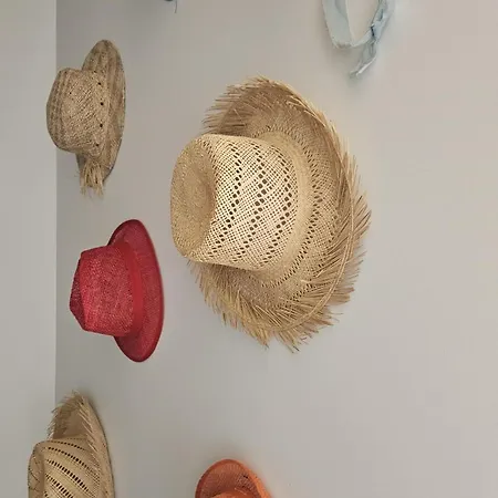 Hébergement de vacances La Surprise Des Jumelles Castres (Tarn)